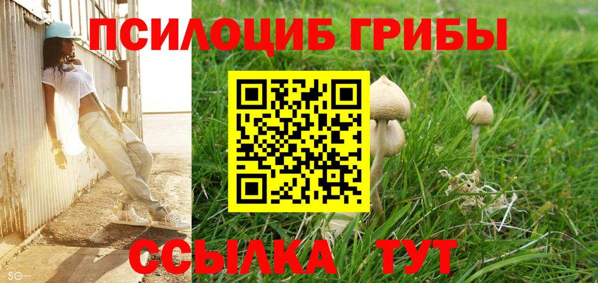 Богородск  Псилоцибиновые грибы Psilocybe  Вход с VPN 